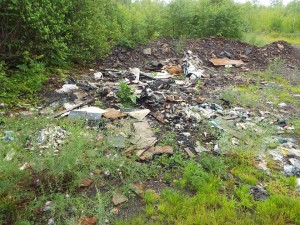 Illegal Dump Pile in Centralia near the Odd Fellows Cemetery that will be one of the sites cleaned up on October 25th