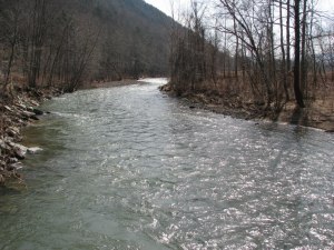 Bowman's Creek, outside of Tunkhannock, PA Wyoming Cty