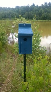 Bluebird box