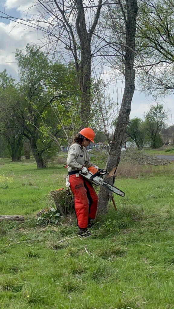 Maria Gereda is learning how to fell a tree as a part of her Texas Conservation Corps term.