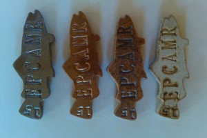 EPCAMR Fish Magnets from our 15th Anniversary Dinner made from our iron oxide glaze